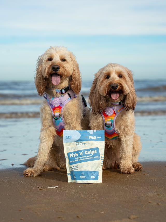Instagram post by @lila_and_emerald for More Years. Caption reads: Did someone say Fish n Chips on the beach?🤭....
