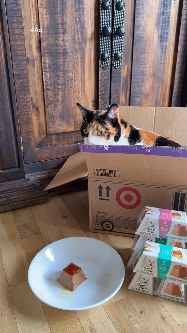 Instagram post by @aylaelizabeth for Fancy Feast. Caption reads: #ad I have a partnered with @Target and....