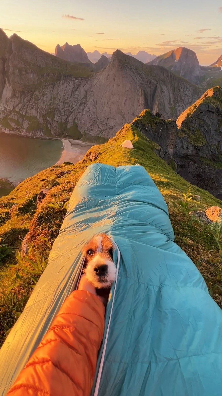 Instagram post by @elisabethmathisen for Ruffwear. Caption reads: [...] matching the camping gear🙂‍↕️💙....