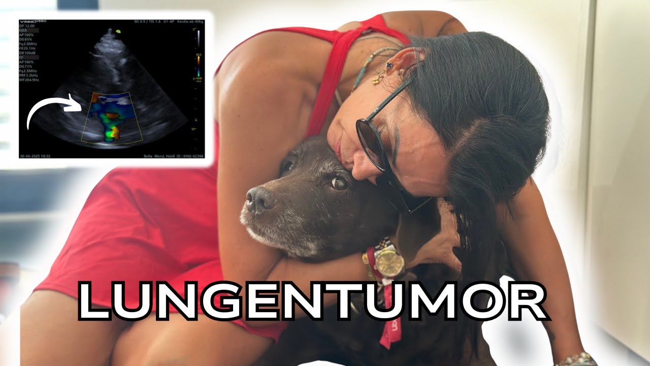 YouTube post by @RosellaMia for Mainpunkt. Caption reads: A life-or-death decision? Poor Bella......