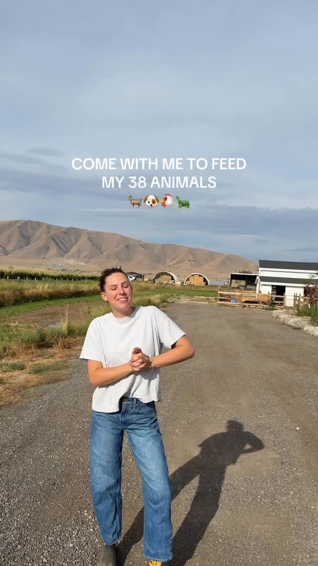 Instagram post by @kimberly.k.oconnell for Open Farm Pet. Caption reads: [...] like a queen! She’s been loving @openfarmpet....