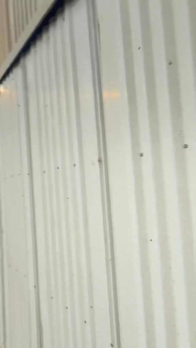 Instagram post by @ryannordheimer for Tillamook. Caption reads: Tillamook Creamery vlog 🧀🍦

Between the 30....