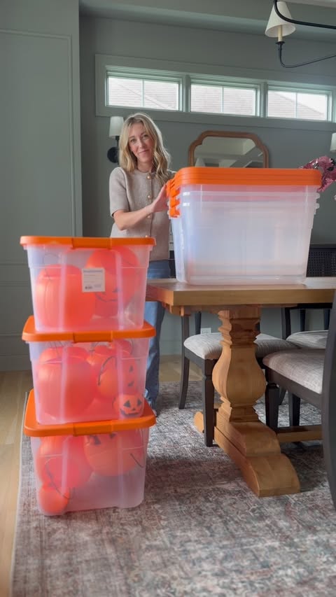 Instagram post by @the.mini.crew for Sterilite. Caption reads: [...] I have a storage solution. These....