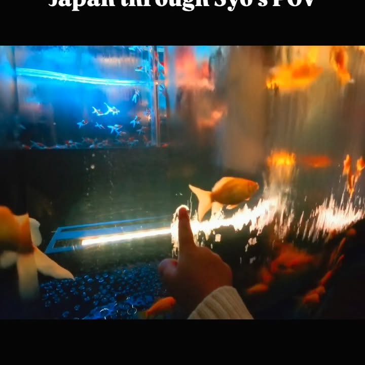 Instagram post by @hirokotv for ARTAQUARIUM. Caption reads: [...] art aquarium in Ginza🇯🇵 3歳視点でみる世界....