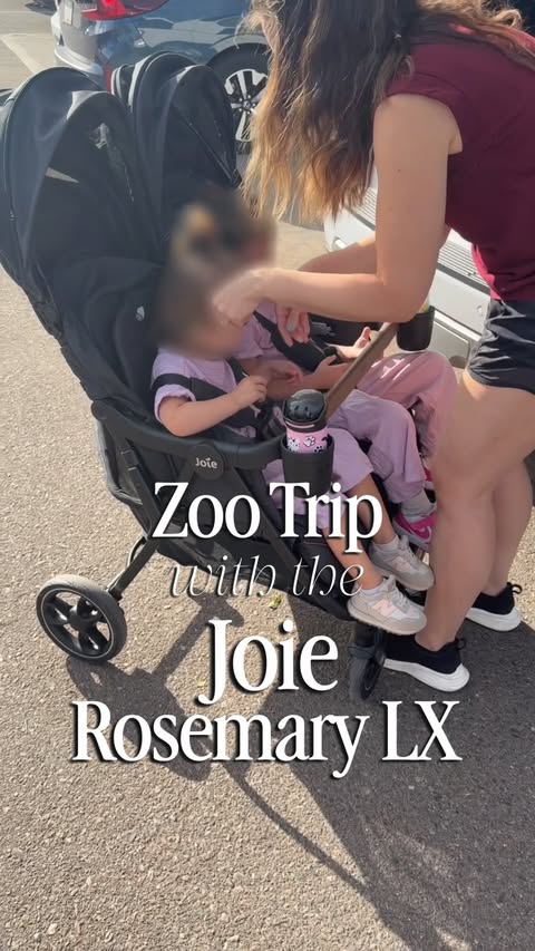 Instagram post by @the_stroller_mom for Joie Baby Gear. Caption reads: Let’s go to the Zoo! 🦍🐻🦒🐅 Want the full review....