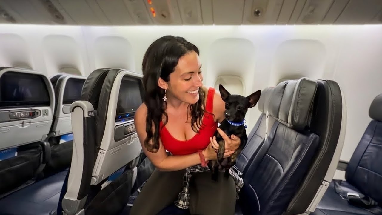 YouTube post by @NikkiDelventhal for Jackery. Caption reads: I Traveled 5000 Miles to Save a Dog (Puerto Rico....