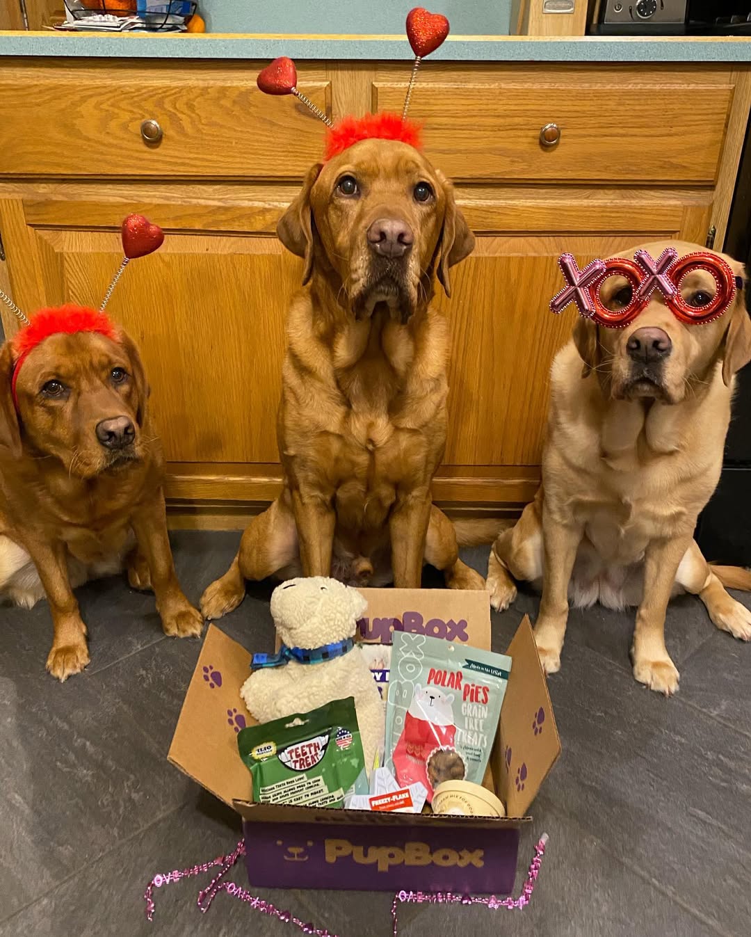 Instagram post by @lovelablife for PupBox. Caption reads: It’s their favorite day of the month... PupBox....
