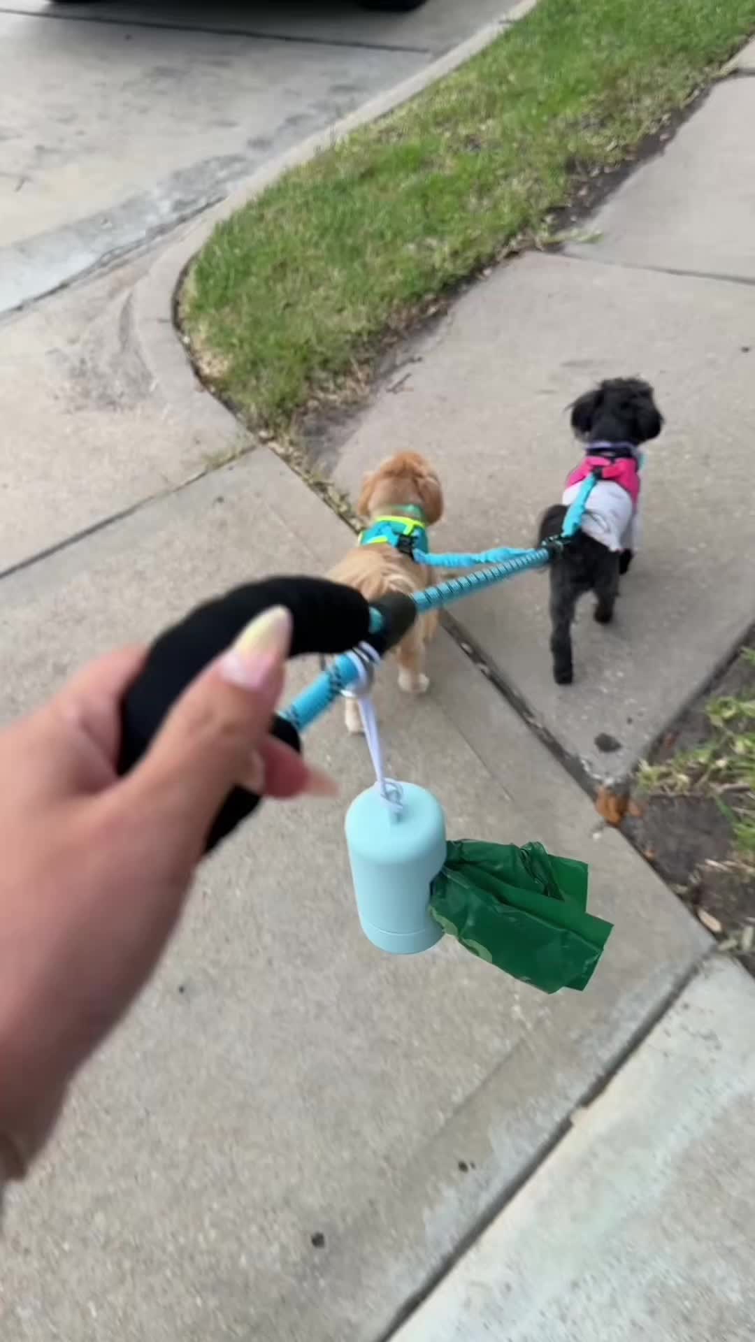 TikTok post by @alexandraryoo for iYoShop. Caption reads: @iYoShop US 360 swivel leash is a game changer if....
