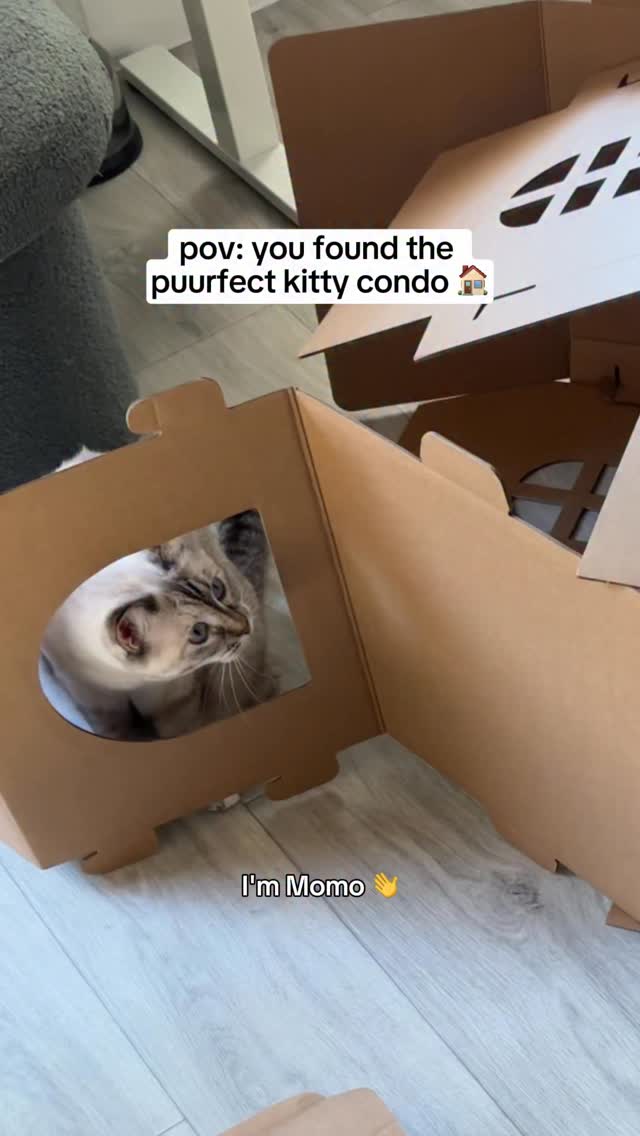 Instagram post by @tiffanyxugc for freshpatch. Caption reads: AD | Condo of my dreams from @freshpatch which....