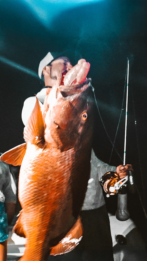 Instagram post by @fishgoatofficial for Mustad Fishing. Caption reads: ON THE MINI ROD!!! Cubera vs The Bean Pole! Watch....