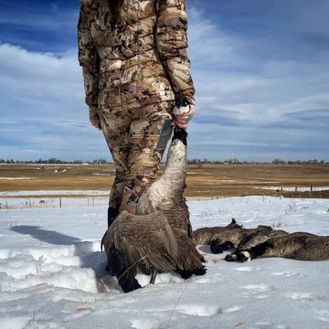 Instagram post by @sara.bollmann for Dive Bomb Industries. Caption reads: [...] season just in time for the next.....