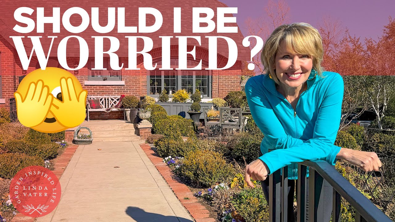 YouTube post by @LindaVater for Manukora. Caption reads: Garden Anxiety: Should I Be Worried? | Cottage....