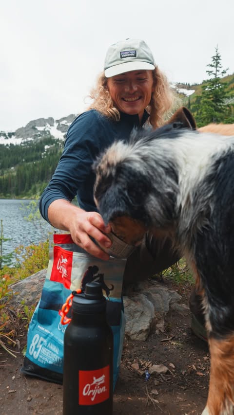 Instagram post by @tanner.price_ for ORIJEN Petfoods. Caption reads: Bringing all the pups on an adventure!! Keeping....