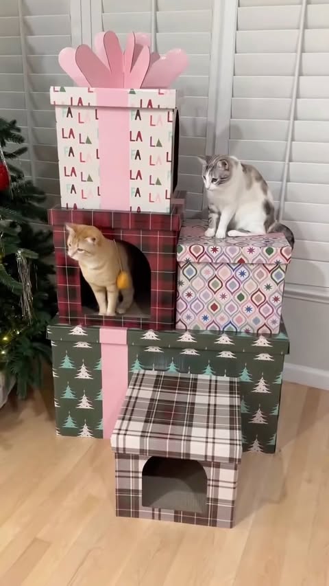 Instagram post by @penguinpepperpia for Petco. Caption reads: Throwback to this present tower I got last year....