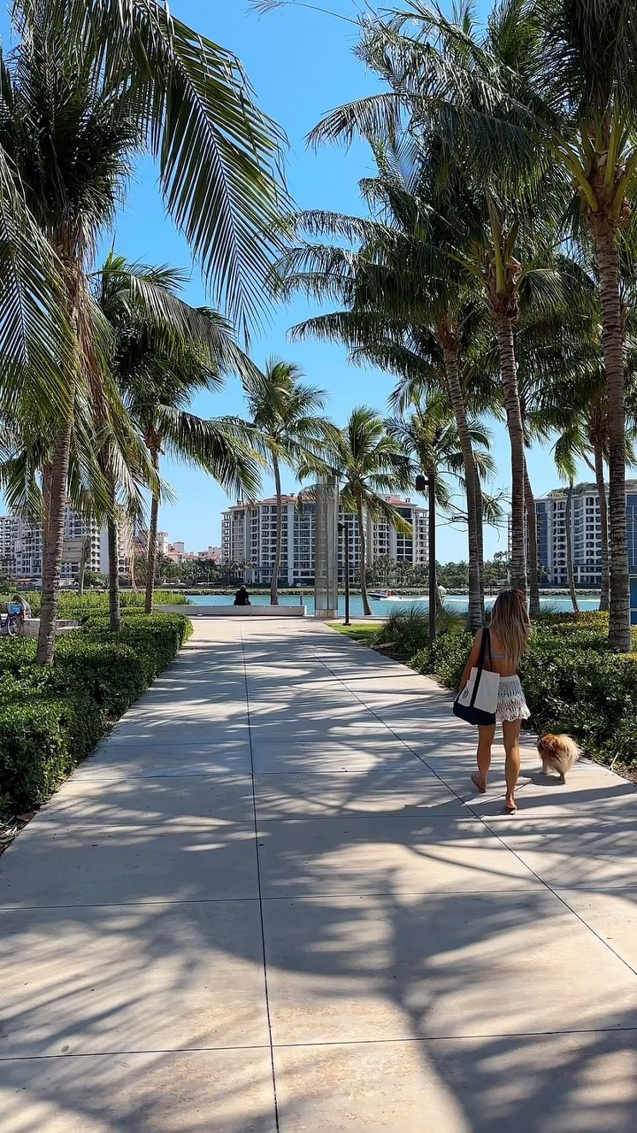 Instagram post by @bluelavendercafe for Estrella Damm. Caption reads: Indulge in organic delights at Blue Lavender Cafe....
