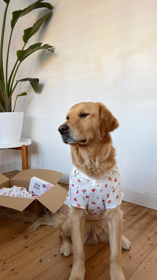 Instagram post by @jessienorbz for Cotton On Body. Caption reads: [...] they match 🫶🏼

sets are all from....