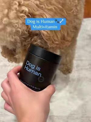 TikTok post by @christinawoessner for Dog Is Human. Caption reads: @Dog is Human thank you Cali loves them 🩷🙌🏼.