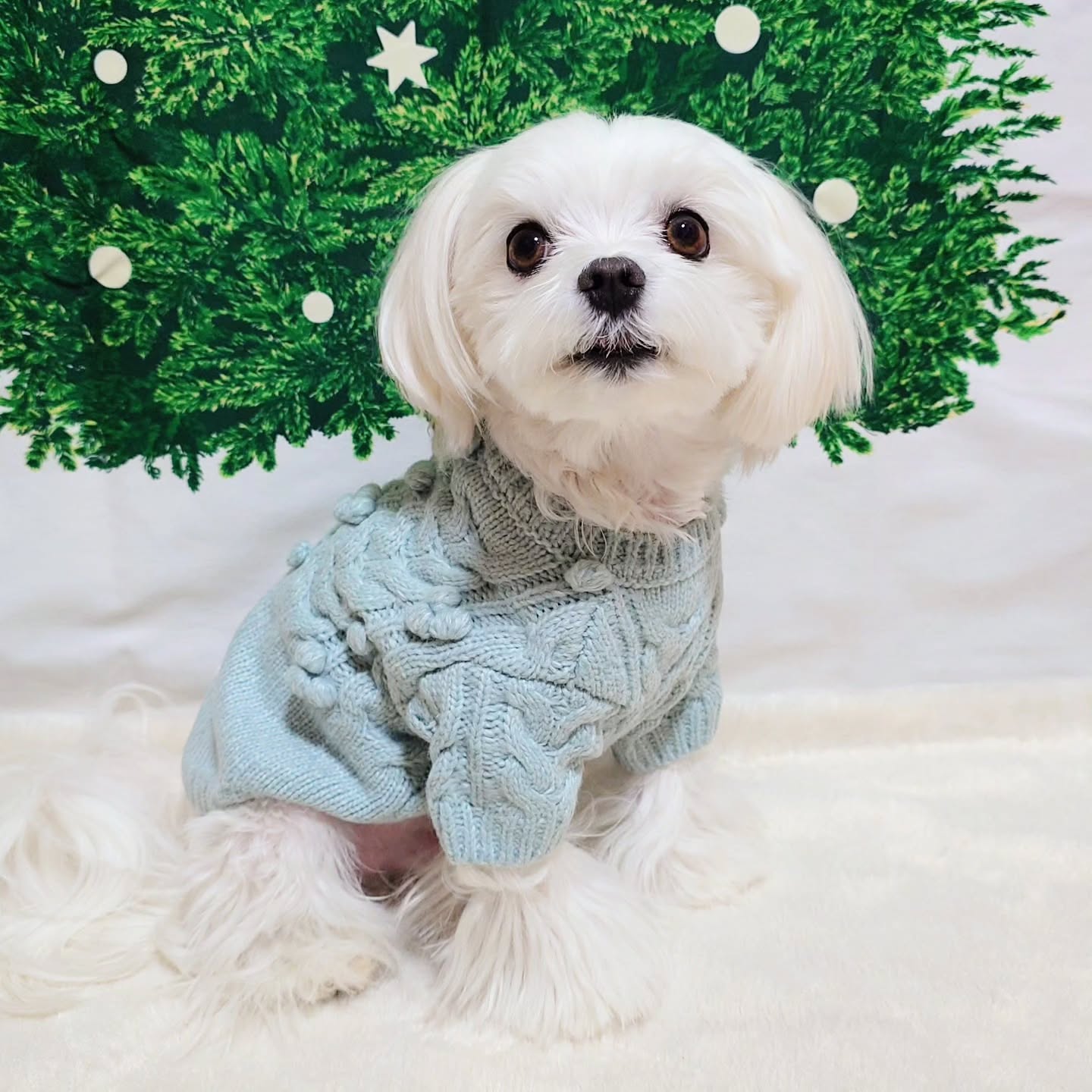 Instagram post by @sho20081203 for monchéri. Caption reads: . @moncheri.dog 様のお洋服 . 【ケーブル編みポコポコニット トップス】 .....