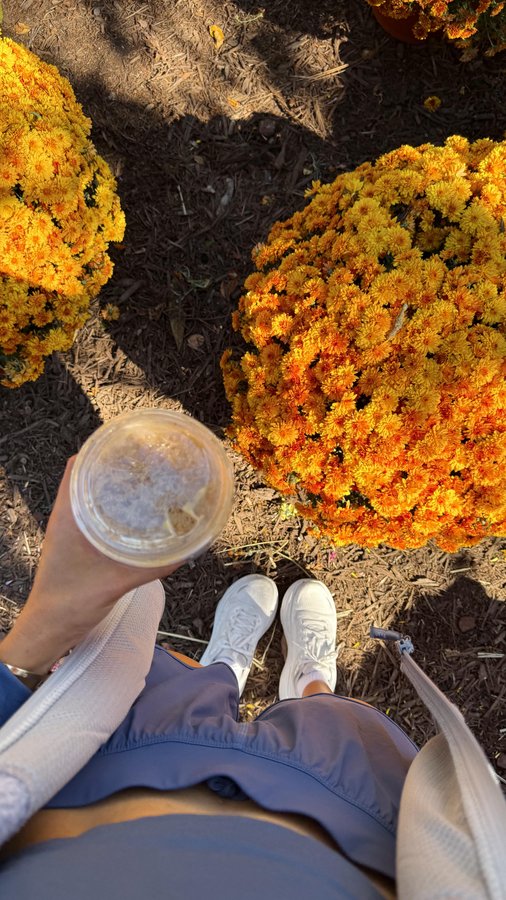 Instagram post by @morgantpete for Paleovalley. Caption reads: bringing back one of my favs from last winter —....