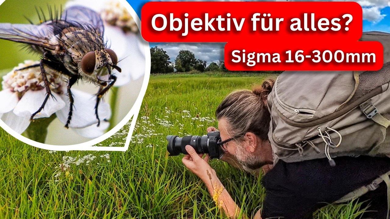 YouTube post by @reisezoom for komoot. Caption reads: [...] Limited to 50 vouchers 👉 👉 My tour on....