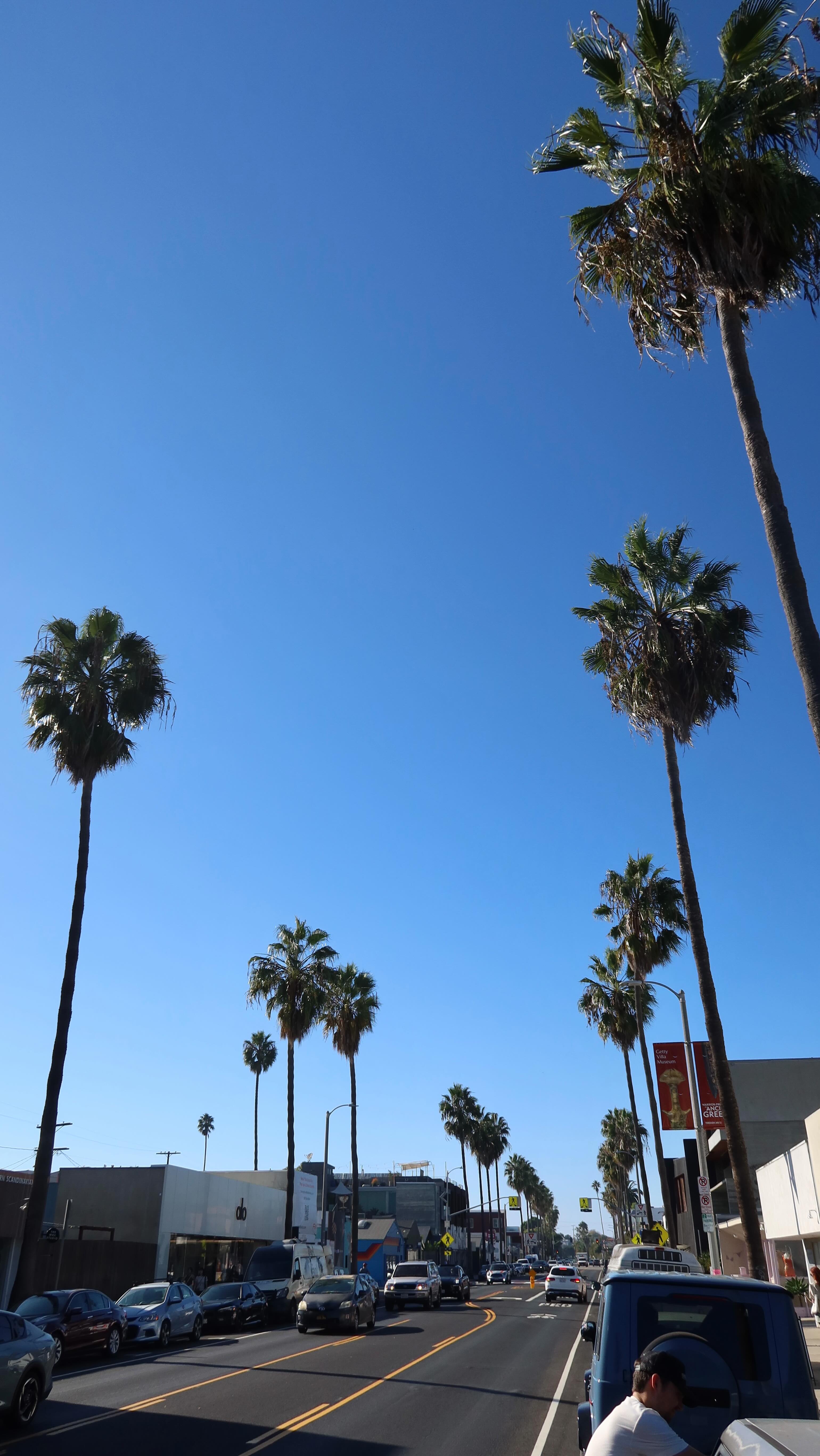 Instagram post by @chelseavaughn for Flamingo. Caption reads: [...] Yup, that’s my kind of busy @meetflamingo....