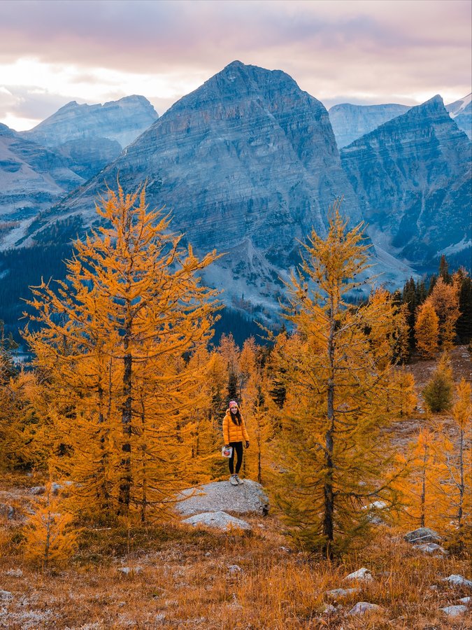 Instagram post by @skyestoury for Mountain House. Caption reads: Take me back to Banff 💛

I absolutely love fall....