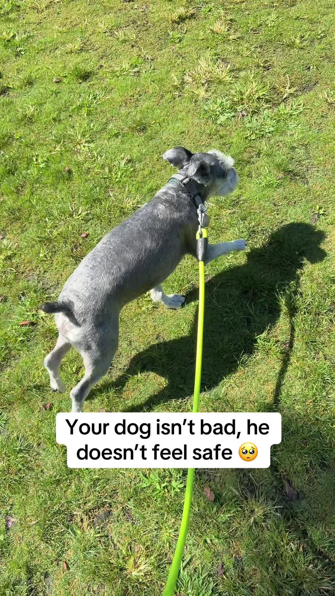 TikTok post by @zoebarbiedoll for Jugbow. Caption reads: [...] his behavior started to change. 🐶🤍 @Jugbow....