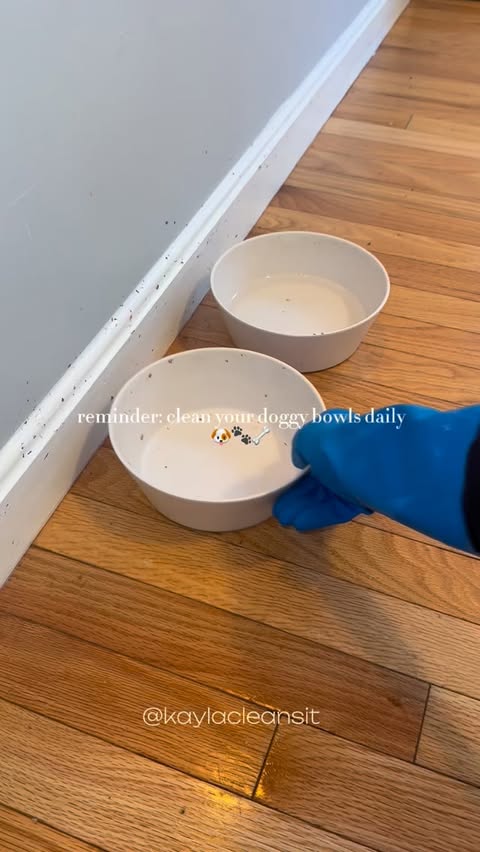 Instagram post by @kaylacleansit for The Farmer's Dog. Caption reads: We feed our dog @thefarmersdog so cleaning the....