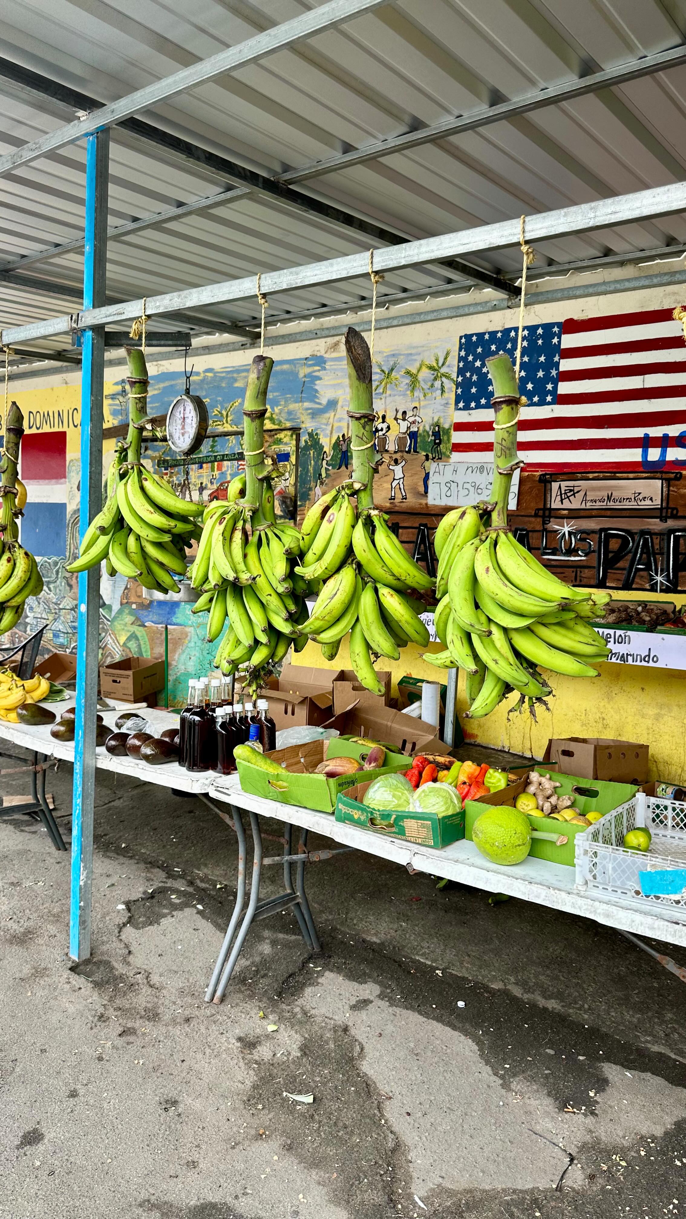 Instagram post by @sydfatty for Discover Puerto Rico. Caption reads: Took my second solo trip back to Puerto Rico and....