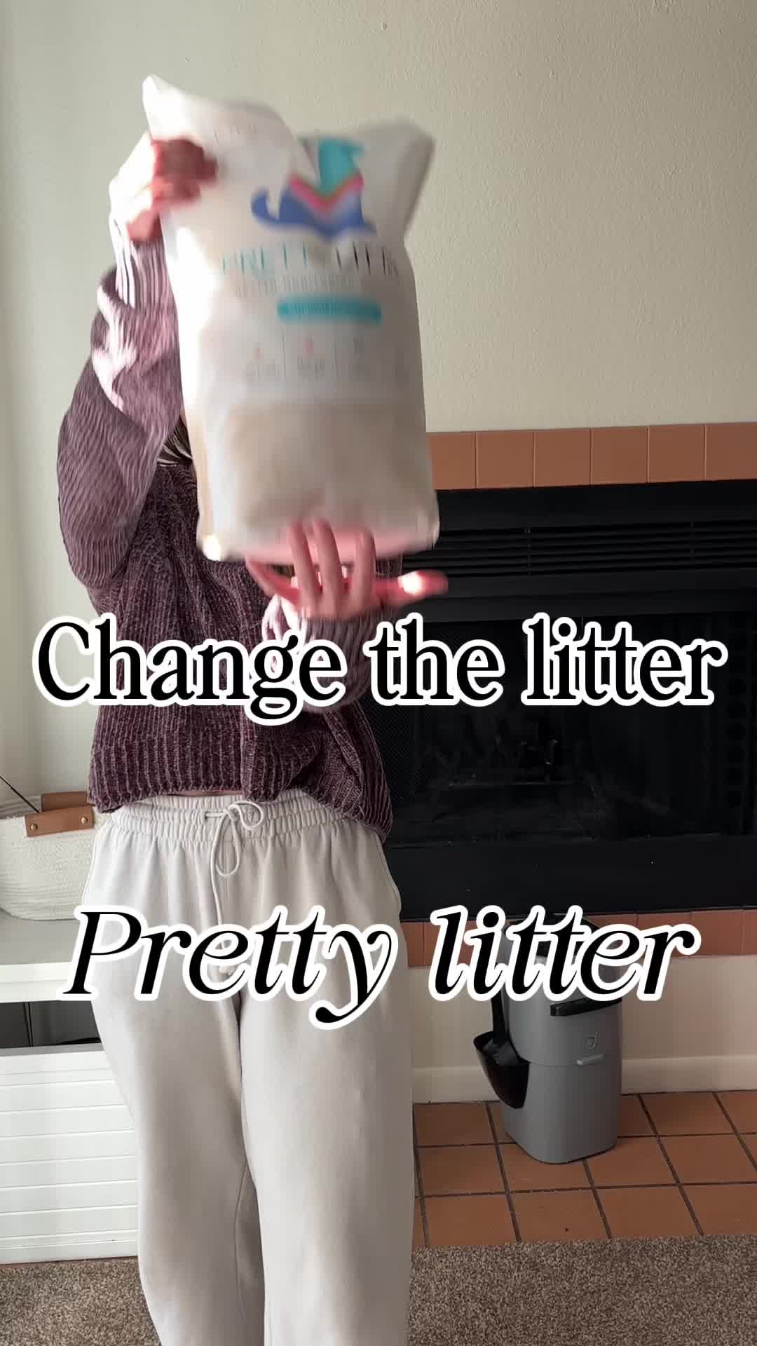 TikTok post by @ashlene.etkie for PrettyLitter. Caption reads: [...] this whole entire world you guys!!....