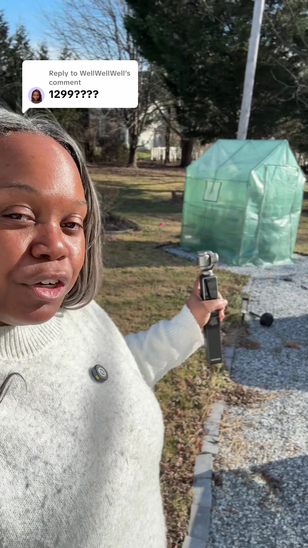 TikTok post by @mybougiefinds for Amerlife. Caption reads: [...] to buy one every single year. So this....