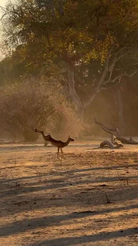 Instagram post by @varun.aditya for OnePlus. Caption reads: Bouncing into your heart ❤️🥹 #ShotonOnePlus....