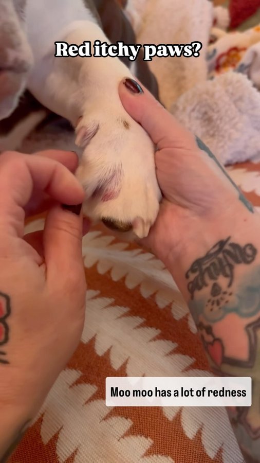 Instagram post by @_darlin_clementine for Squishface. Caption reads: [...] toes. 

The wipes and paste from @squishface....