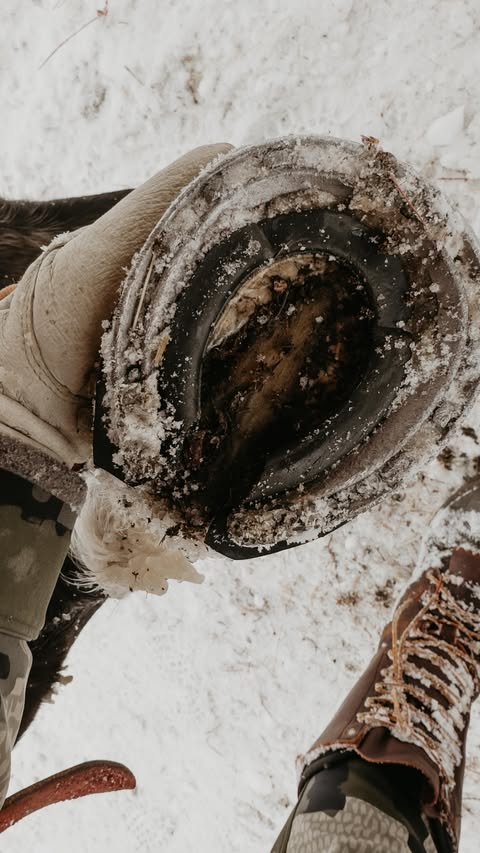 Instagram post by @claudiaschmidt11 for Field & Stream. Caption reads: The shoulder season is a great way to fill the....