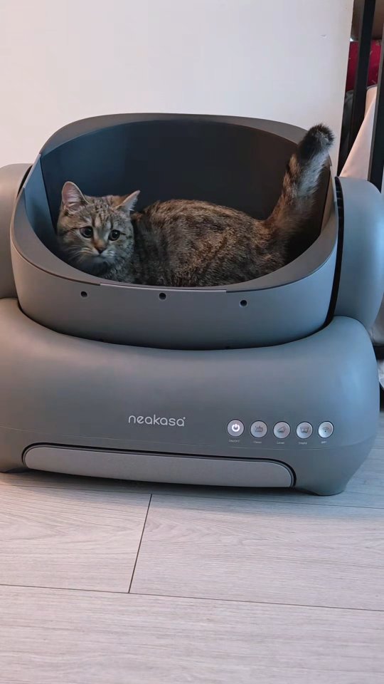 Instagram post by @kinglukameowmeow for Neakasa. Caption reads: Luka loves his new litter box from @neakasa.tech....