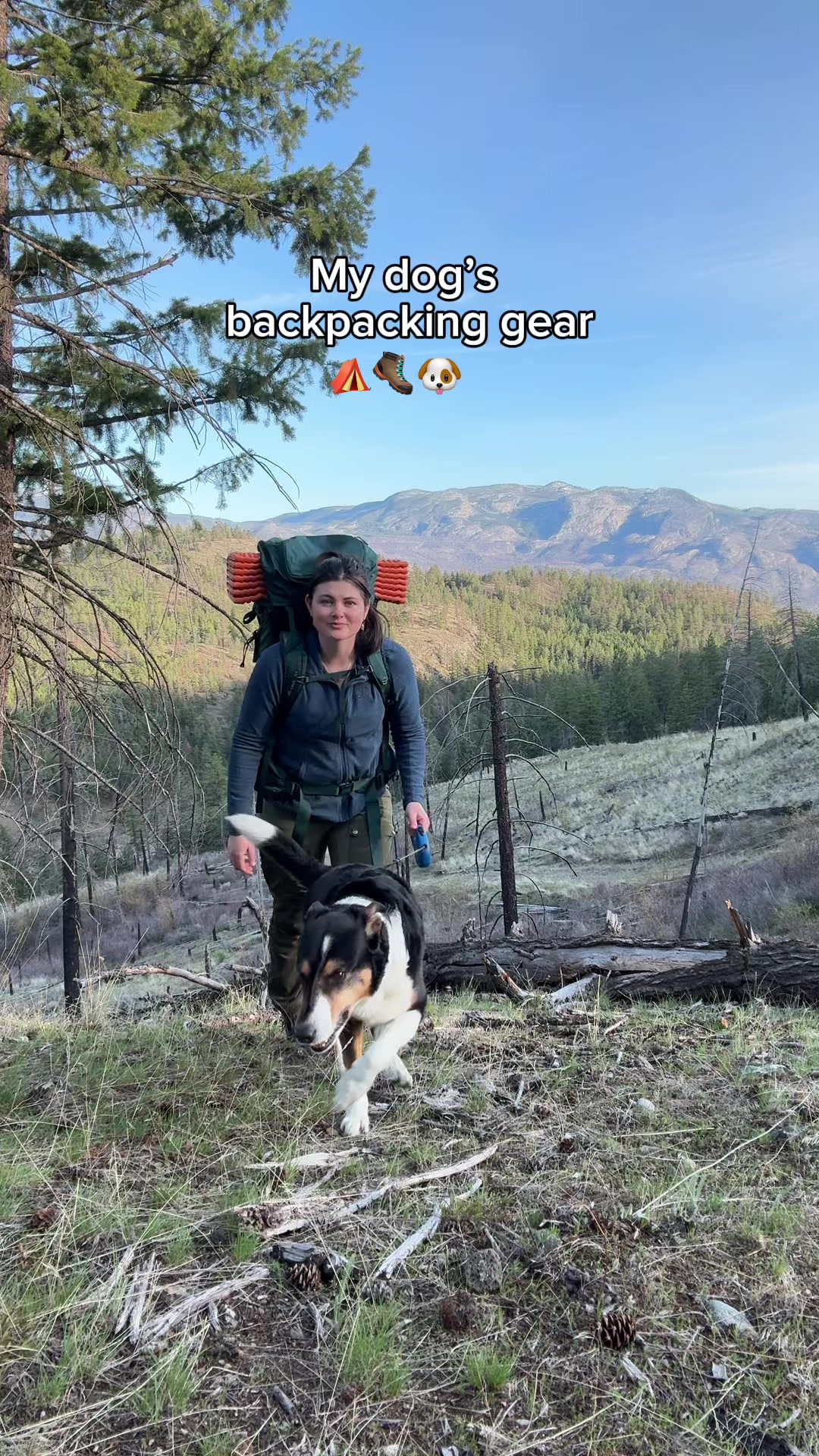 TikTok post by @madisonclysdalee for Open Farm Pet. Caption reads: 5 things I bring backpacking for my dog.  I carry....