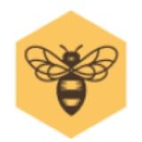 Burt's Bees USA