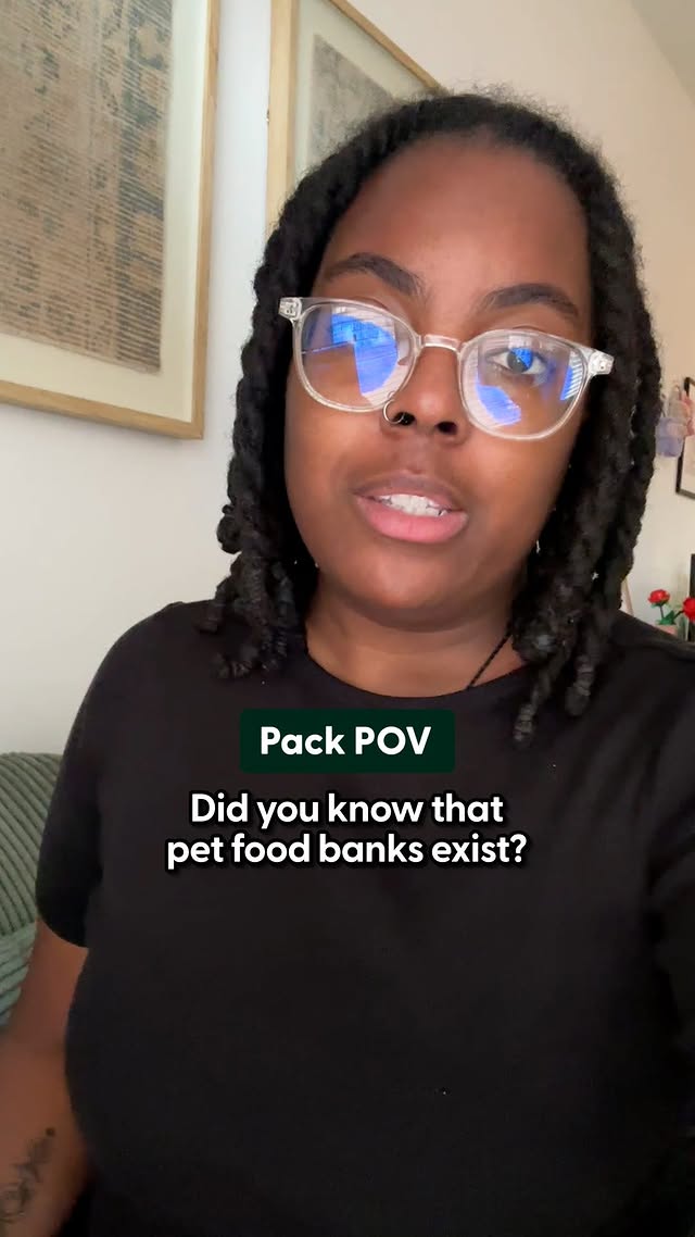 Instagram post by @thepackbythedodo for The Dodo. Caption reads: If feeding your pet feels tough right now, you’re....