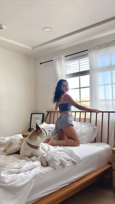 Instagram post by @ttamara.anthonyy for Primal Pet Foods. Caption reads: starting stella’s day off right with....