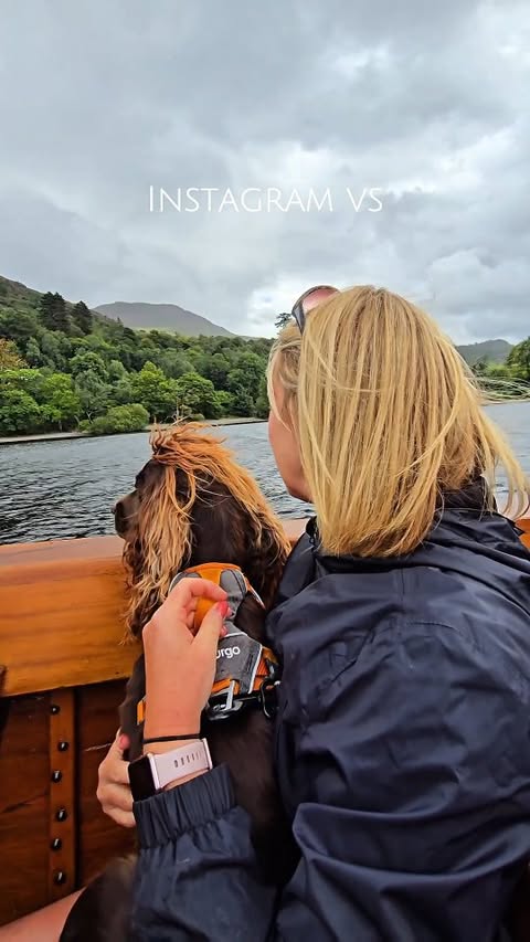 Instagram post by @spanielsbythesea for Kurgo. Caption reads: [...] Finn wears the journey air harness from....