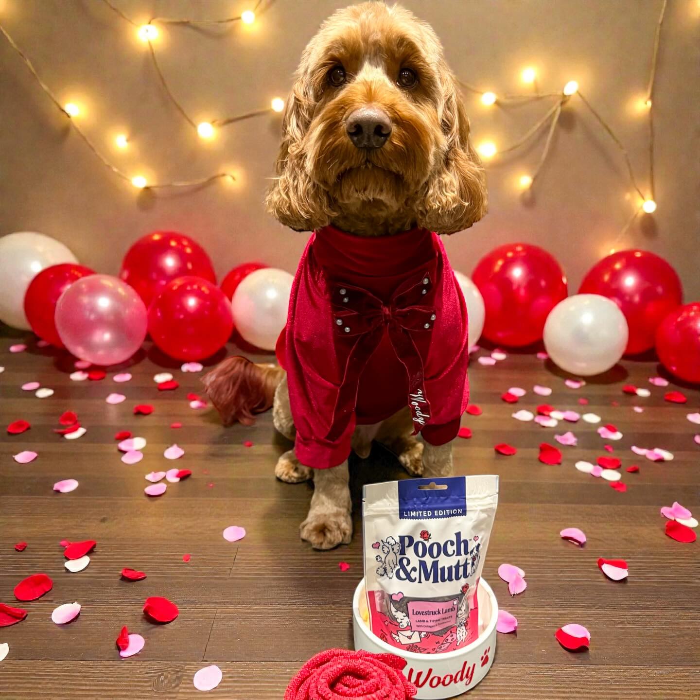 Instagram post by an influencer for Fur and Fetch. Caption reads: [...] Wearing my red velvet jumpy....