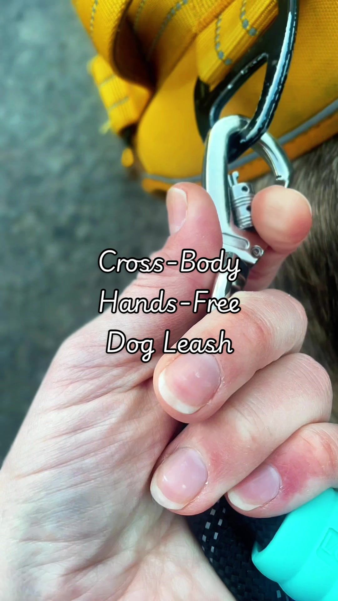 TikTok post by @trailer.treasure for Pawaboo. Caption reads: [...] leash I have and it’s so freaking cheap....