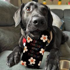 Instagram post by @labradorablearchie for KaseMe. Caption reads: [...] it’s spring 🌱🌺🌼🌿

Phone case from....