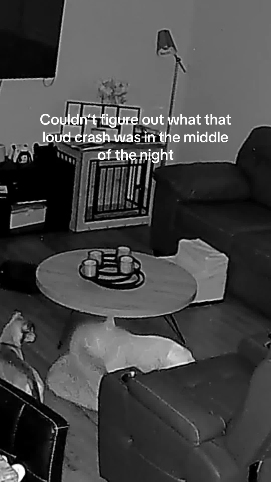 TikTok post by @nataliamelvinlifts for Wyze. Caption reads: I thought someone was breaking in😭 @Wyze #fyp....