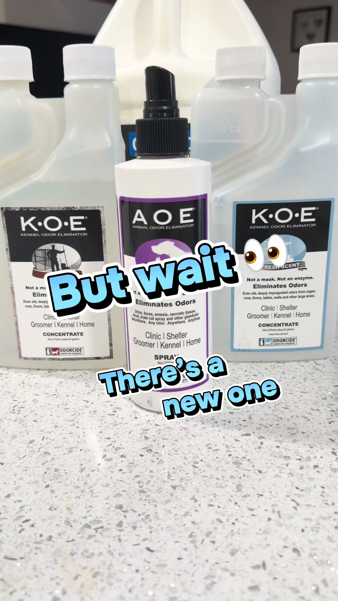 TikTok post by @tootzicide for Odorcide. Caption reads: 🖤 You’ve probably seen the other @Odorcide....