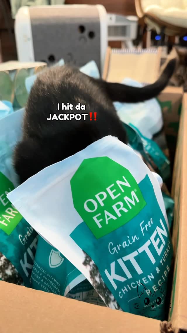 Instagram post by @wasabi.sushi.matcha for Open Farm Pet. Caption reads: Restocking food for my hangry kittens with....