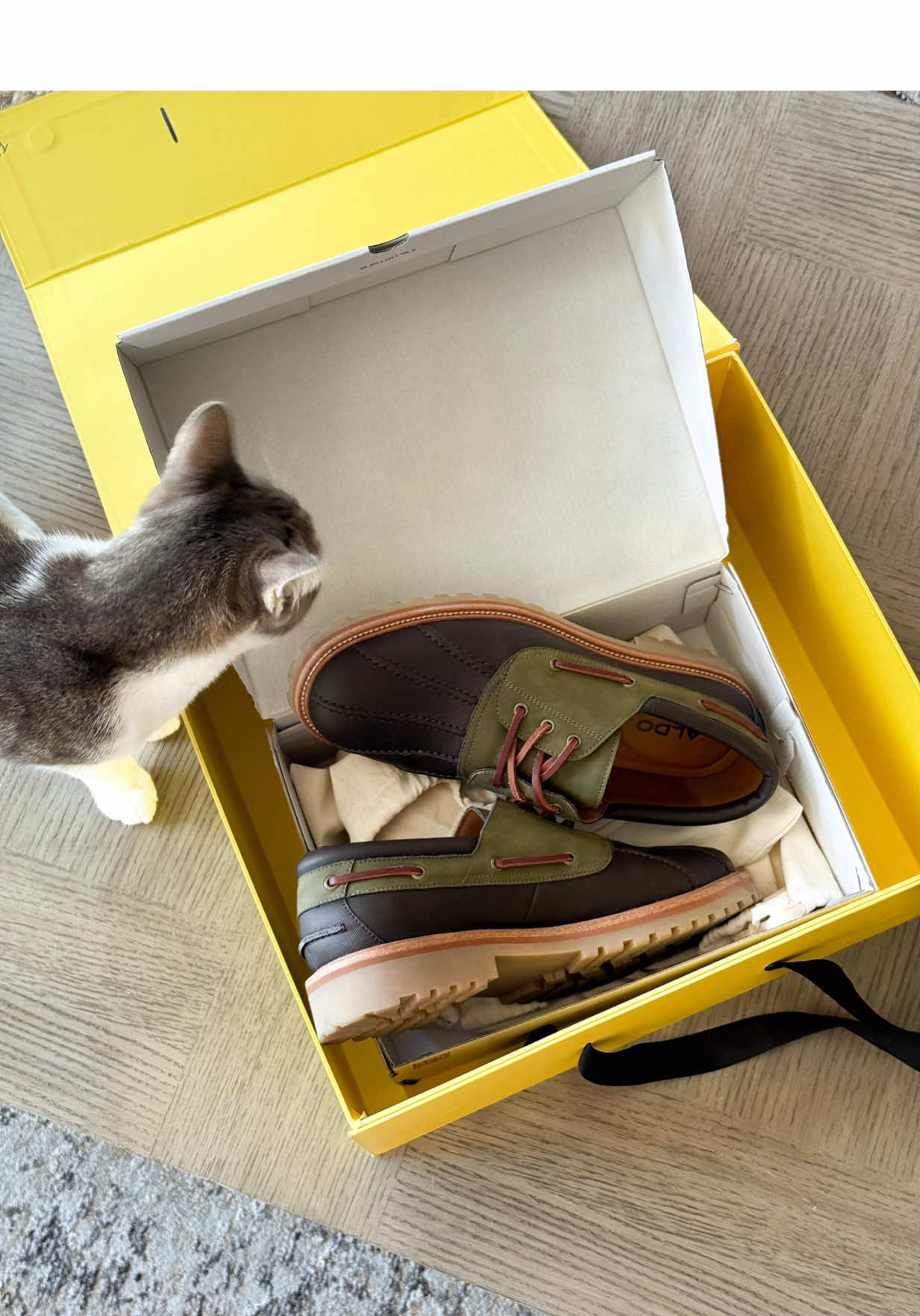 TikTok post by @ethandiazzee for ALDO Shoes. Caption reads: [...] something new. #ALDOTryEveryThing @ALDO....