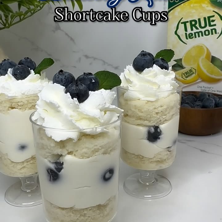 Instagram post by @dipped_tampa for True Lemon. Caption reads: No-bake Blueberry Lemon Shortcake Cups 

Featuring....