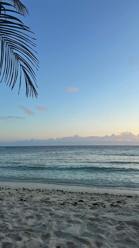 Instagram post by @gabbiwhipps for Cotton On Body. Caption reads: [...] amazing people!! so so grateful!!!....