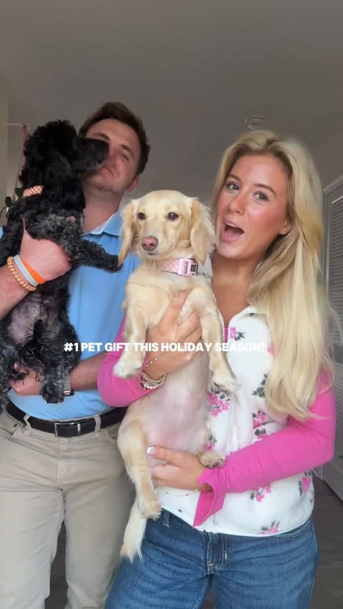 Instagram post by @bella_woodard for Oneisall. Caption reads: #1 pet gift this holiday season!🐶✨ My pups can....